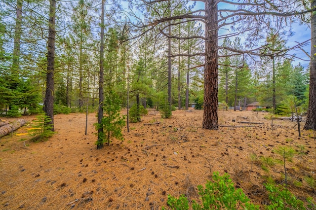 Sugar Loaf Ln, Old Station, CA 96071 - photo 6