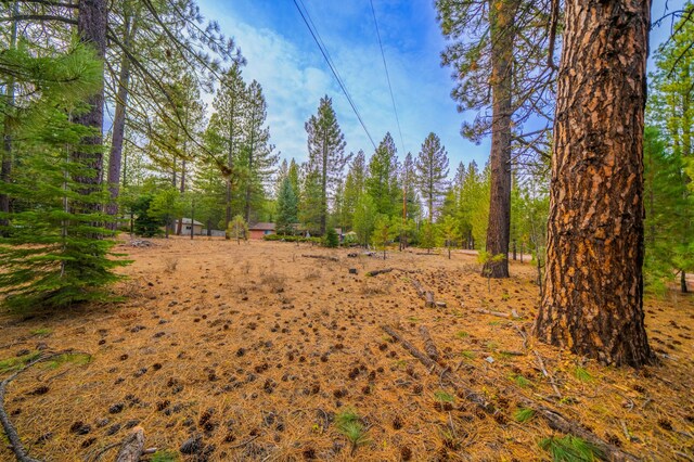 Sugar Loaf Ln, Old Station, CA 96071 - photo 7