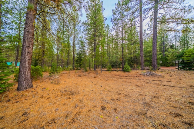 Sugar Loaf Ln, Old Station, CA 96071 - photo 8