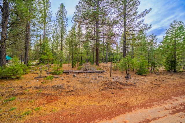 Sugar Loaf Ln, Old Station, CA 96071 - photo 9