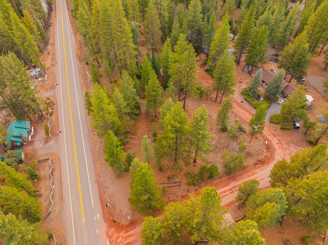 Sugar Loaf Ln, Old Station, CA 96071 - photo 2