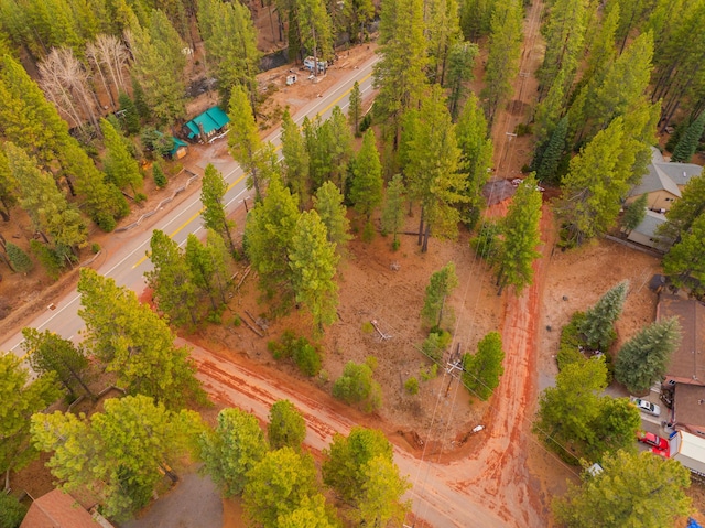 Sugar Loaf Ln, Old Station, CA 96071 - photo 3