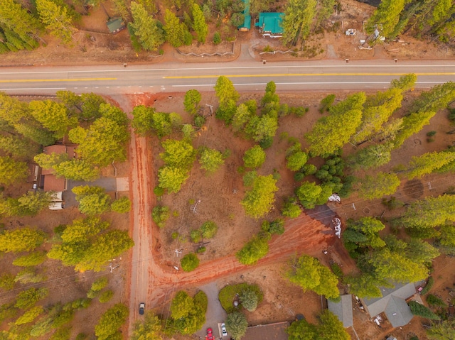 Sugar Loaf Ln, Old Station, CA 96071 - photo 1
