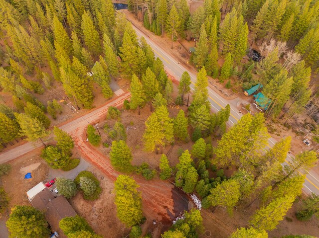 Sugar Loaf Ln, Old Station, CA 96071 - photo 4