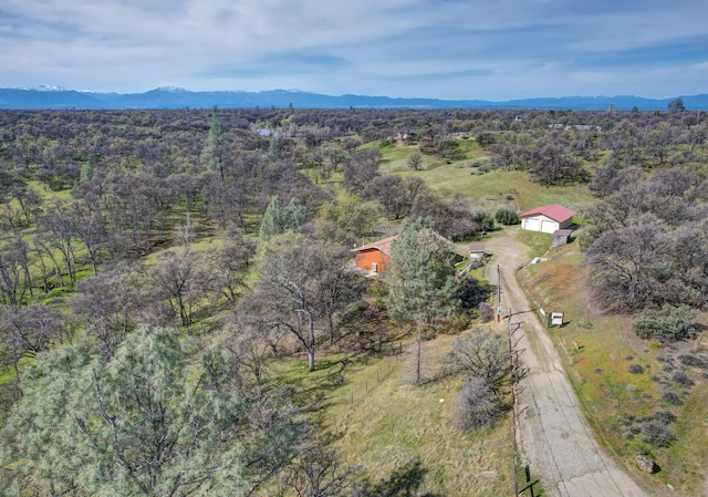 bird's eye view featuring a mountain view and a view of trees