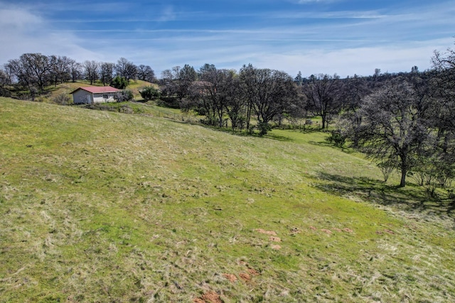 view of yard featuring a rural view