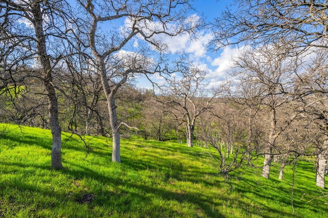21300 Meadowgate Dr, Red Bluff, CA 96080