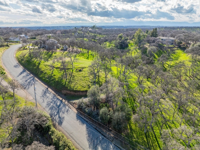 21300 Meadowgate Dr, Red Bluff, CA 96080