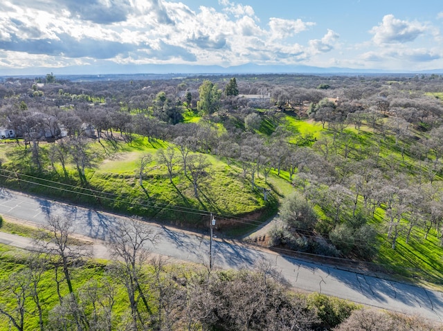 21300 Meadowgate Dr, Red Bluff, CA 96080