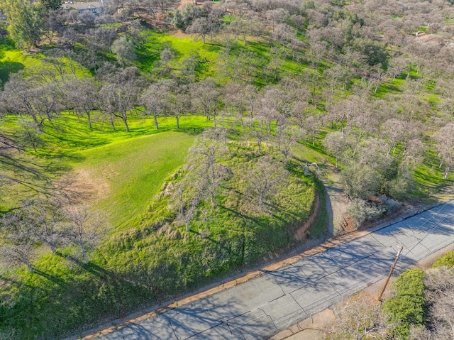 21300 Meadowgate Dr, Red Bluff, CA 96080