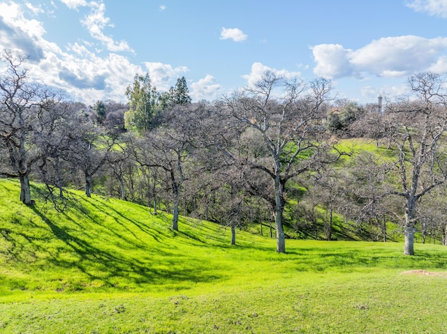 21300 Meadowgate Dr, Red Bluff, CA 96080