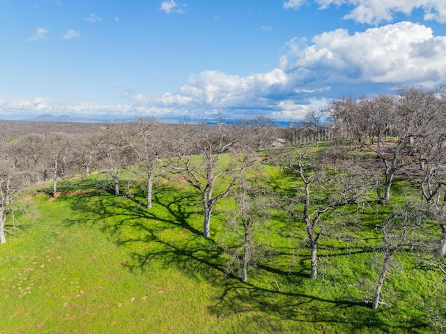 21300 Meadowgate Dr, Red Bluff, CA 96080