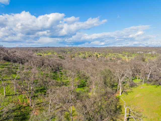 21300 Meadowgate Dr, Red Bluff, CA 96080