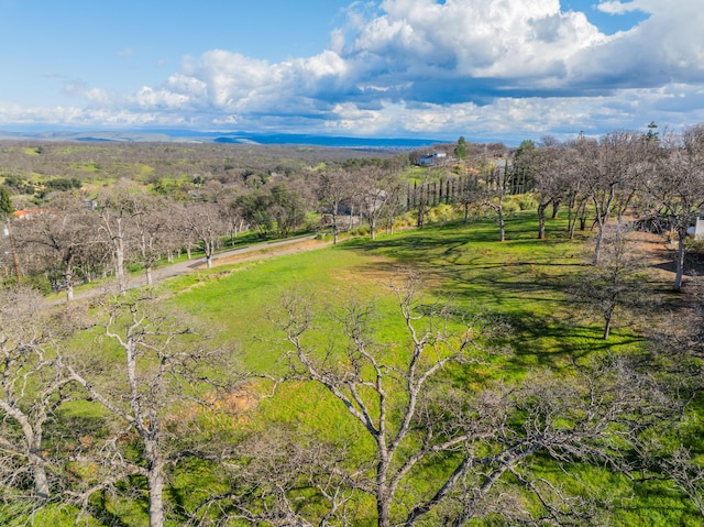 21300 Meadowgate Dr, Red Bluff, CA 96080
