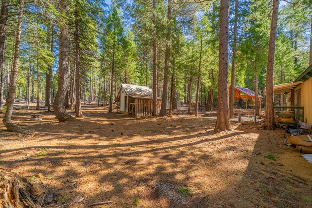 view of yard featuring a view of trees and an outdoor structure