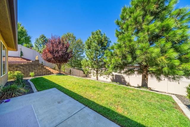 4461 Risstay Way, Shasta Lake, CA 96019 - view of yard featuring a patio and a fenced backyard