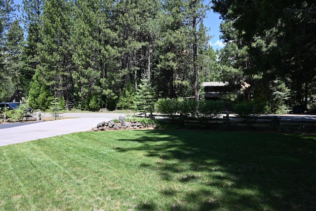 37105 Sapphire Rd, Burney, CA 96013 - view of green lawn