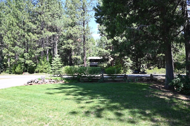 37105 Sapphire Rd, Burney, CA 96013 - view of grassy yard