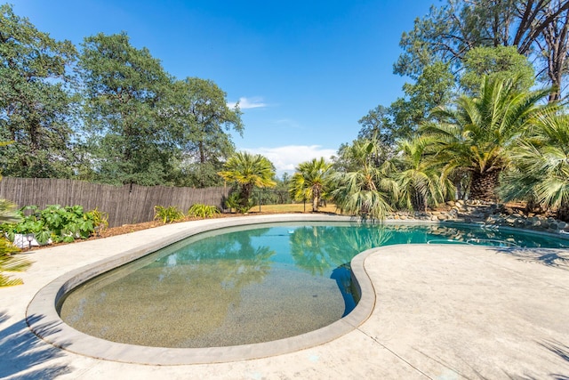 view of swimming pool with a fenced backyard, a patio, and a fenced in pool