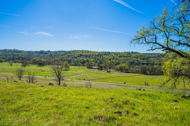 view of yard with a forest view and a rural view