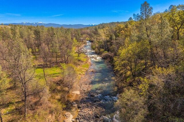 drone / aerial view with a wooded view and a mountain view