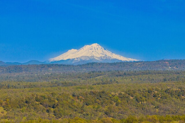mountain view featuring a forest view