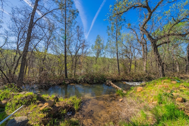 water view featuring a forest view