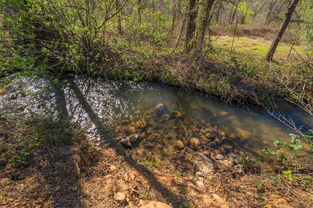 property view of water with a forest view