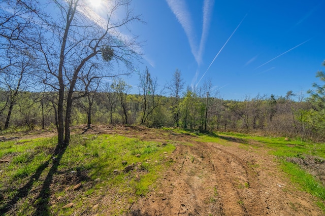 view of nature with a wooded view
