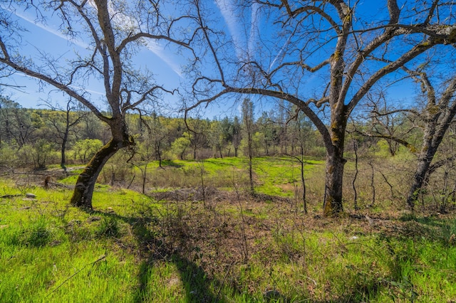 view of landscape featuring a view of trees