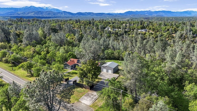 17622 China Gulch Dr, Anderson, CA 96007 - bird's eye view with a mountain view and a view of trees