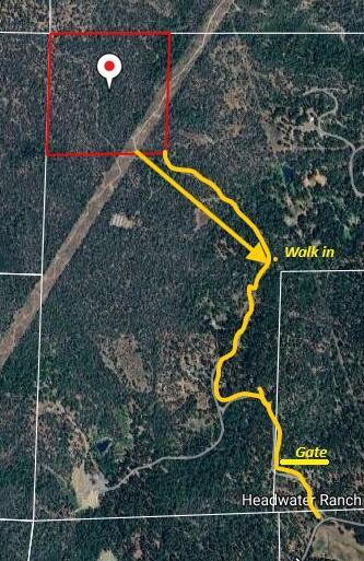 000 Arrow Point Dr, Oak Run, CA 96069