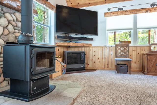 carpeted living area featuring a wainscoted wall, a wood stove, and a healthy amount of sunlight