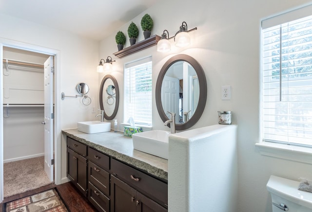 bathroom with double vanity, a spacious closet, wood finished floors, and a sink