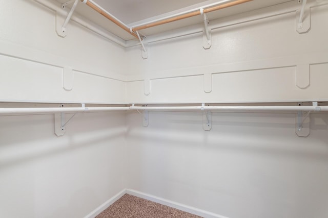 spacious closet featuring carpet floors
