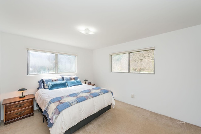 170 Lower Mill St, Weaverville, CA 96093 - photo 16