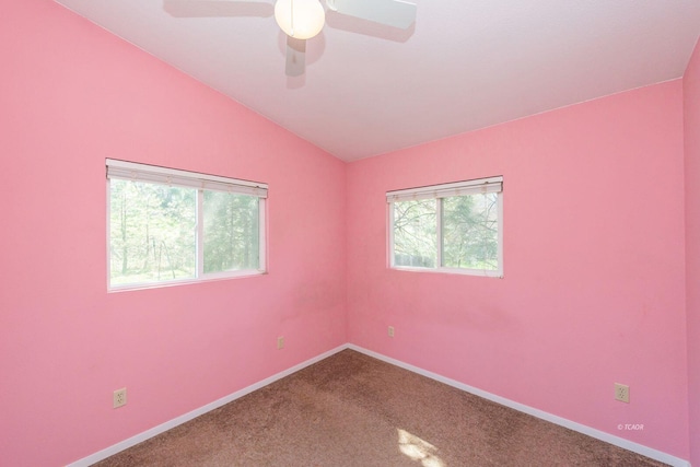 170 Lower Mill St, Weaverville, CA 96093 - photo 26