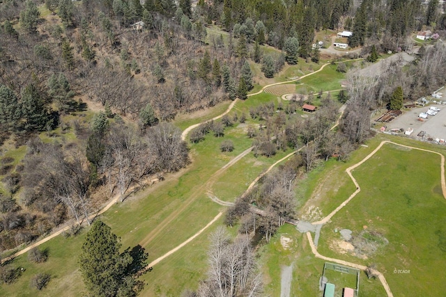 170 Lower Mill St, Weaverville, CA 96093 - photo 29