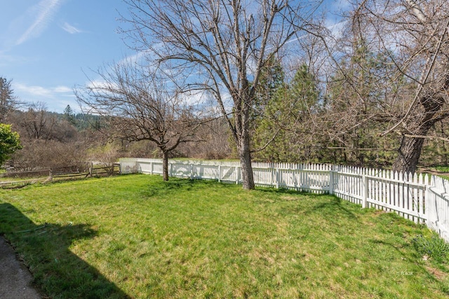 170 Lower Mill St, Weaverville, CA 96093 - photo 41