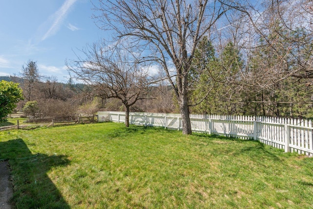 170 Lower Mill St, Weaverville, CA 96093 - photo 44