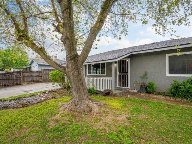 926 Cortina Dr, Orland, CA 95963 - view of front of property featuring a shingled roof, stucco siding, fence, and a front lawn