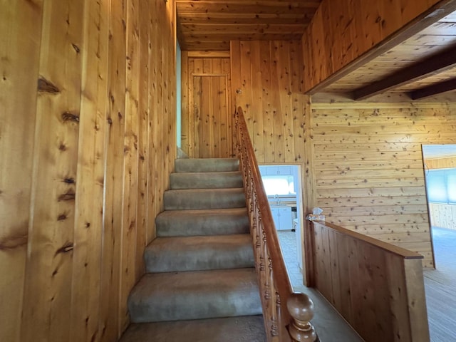 41139 Brown Rd, Fall River Mills, CA 96028 - photo 12