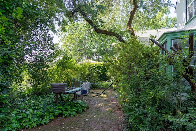 view of yard featuring a patio