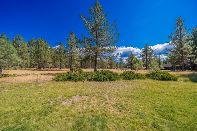 12792 Clearbrook Dr, Old Station, CA 96071 - photo 22