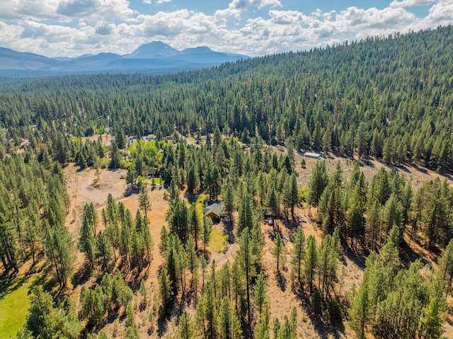 12792 Clearbrook Dr, Old Station, CA 96071 - photo 28