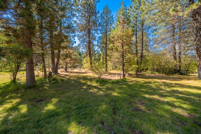 12792 Clearbrook Dr, Old Station, CA 96071 - photo 31