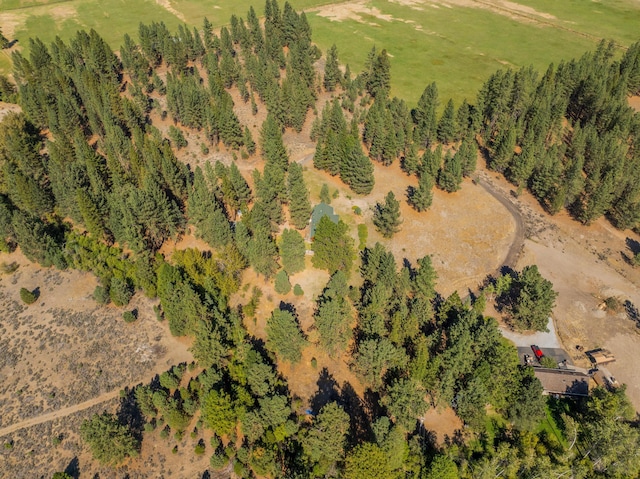 12792 Clearbrook Dr, Old Station, CA 96071 - photo 32