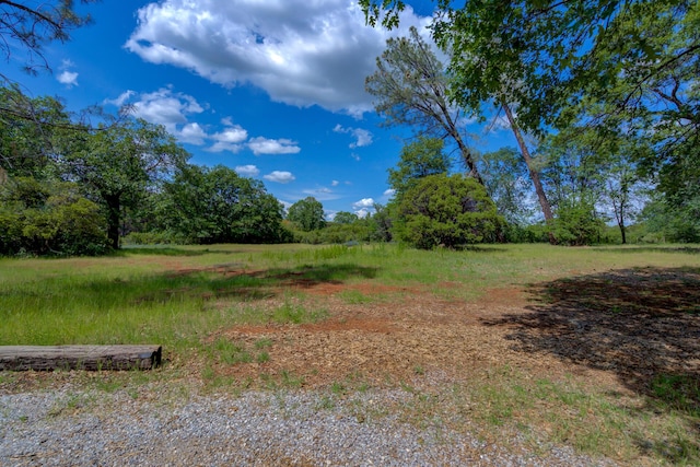 view of nature