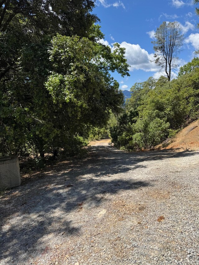 Little Doe Rdg, Lakehead, CA 96051