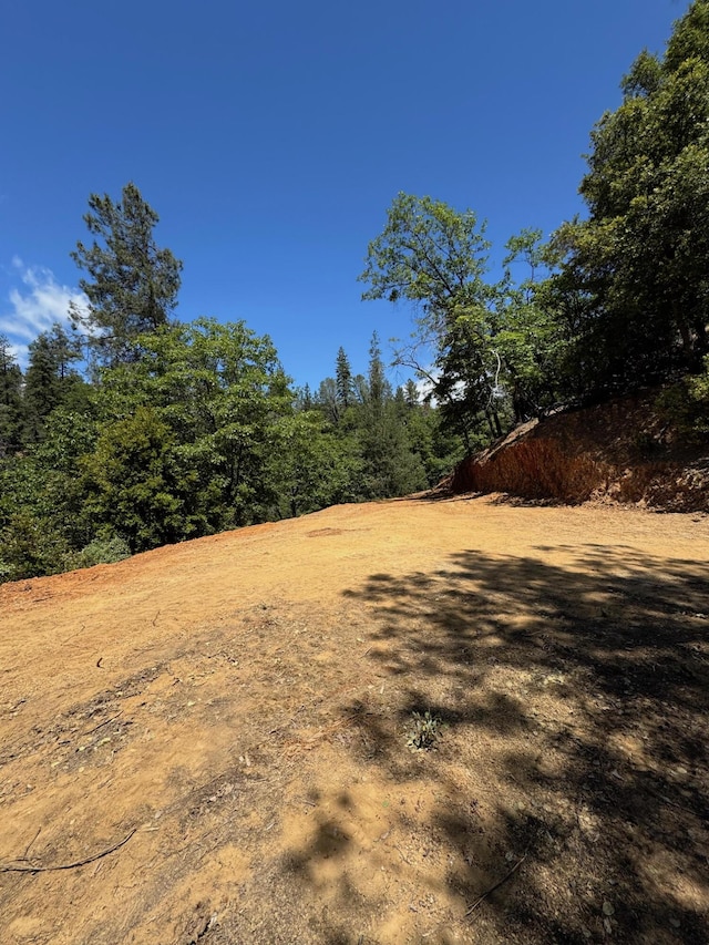 Little Doe Rdg, Lakehead, CA 96051